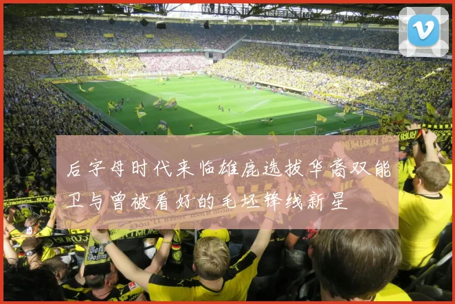 后字母时代来临雄鹿选拔华裔双能卫与曾被看好的毛坯锋线新星